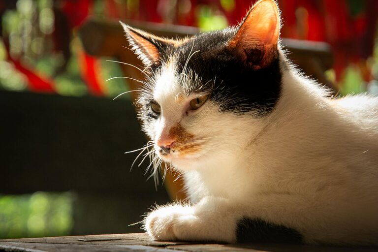 Simple Ideas for Peaceful Weekend Mornings